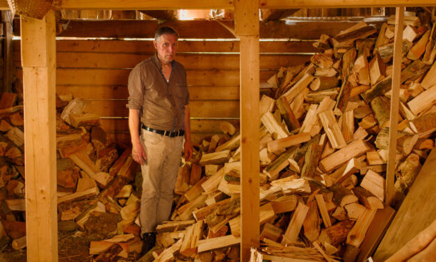 Germany’s energy crisis is a cue for chopping wood and stocking up