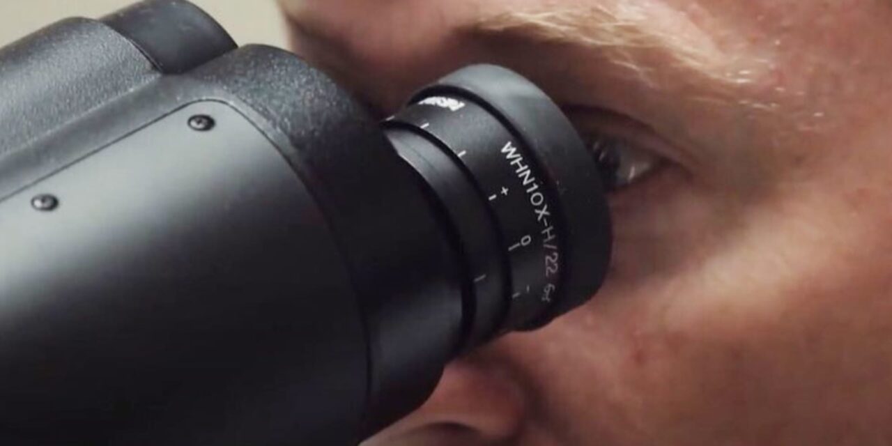 Google, DoD built an AI-powered microscope to help doctors spot cancer