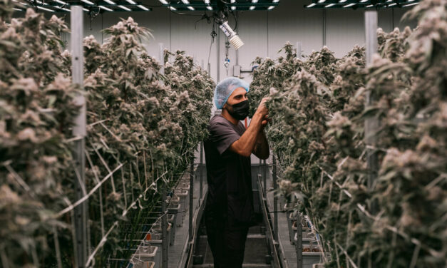 Marijuana is changing the $32 billion industry