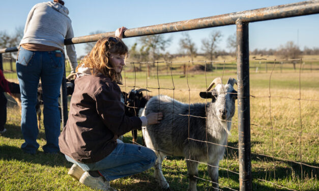 Kennedy's Plan for the Drug Crisis: A Network of 'Healing Farms'