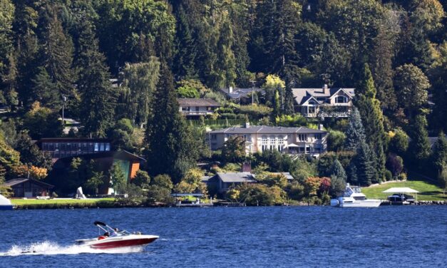 The United States added a thousand new millionaires per day in 2024: report