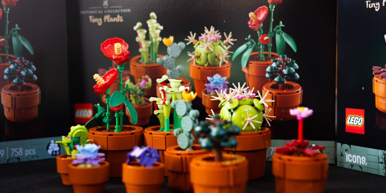 LEGO in the first half of 2025 earnings post record income