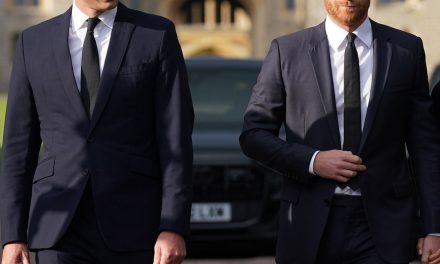 Prince Harry, Prince William, King Charle’s relationship in the middle of the feud
