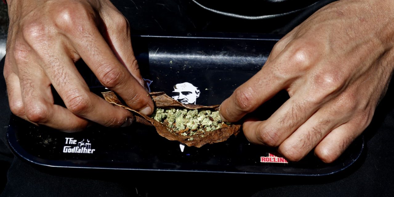 „Trump-Effekt“ weckt Hoffnungen auf Cannabis-Rallye