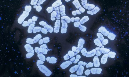 Genetic scores are booming. But will anti-discrimination laws cover your DNA?