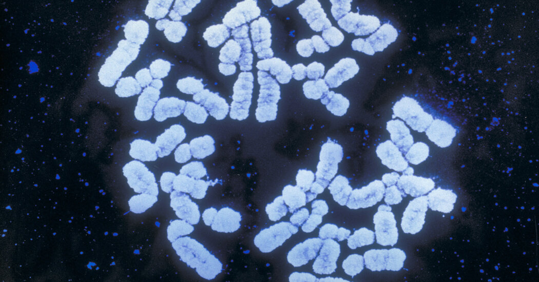 Genetic scores are booming. But will anti-discrimination laws cover your DNA?